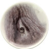 Кофейная чашка с блюдцем "Ландыш", рисунок "Дерево. Ежик в тумане", ЛФЗ